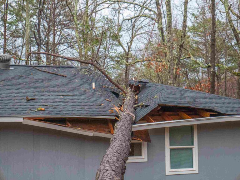 Storm-damaged home with fallen tree through roof requiring emergency storm damage cleanup and structural restoration by Paul Davis Restoration of the Space Coast in Florida